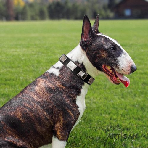 buy Artisan black leather dog collar for Bullterrier